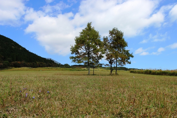 晩秋の久住高原_a0174458_1231062.jpg