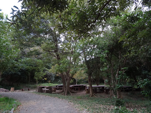 c0108460_1744293.jpg