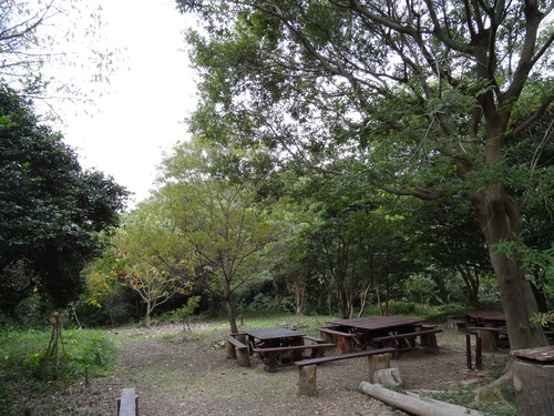 c0108460_1751661.jpg