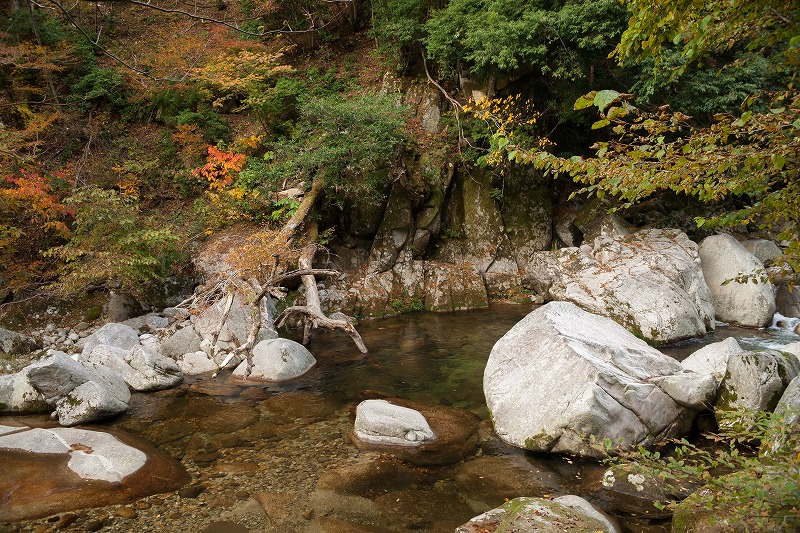 b0198768_2127401.jpg