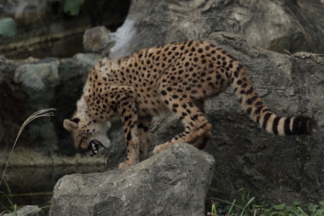 a0188771_2312367.jpg