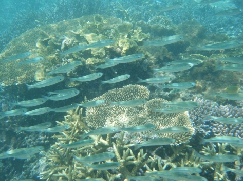 b0116271_11364743.jpg