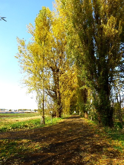 d0084473_21105126.jpg