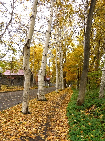 d0084473_21111680.jpg