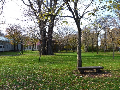 d0084473_21115526.jpg