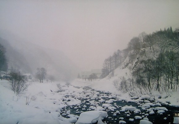 c0009275_2322972.jpg