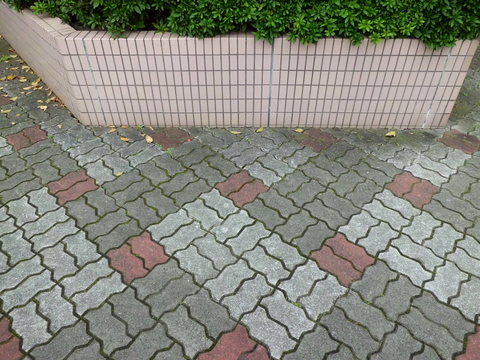 b0138985_17433194.jpg