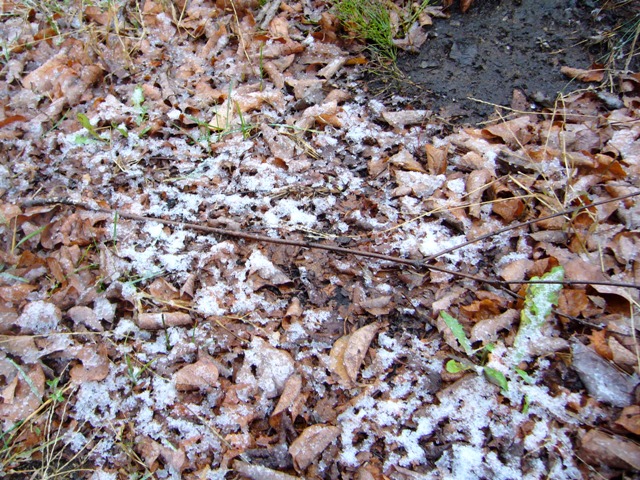 f0079085_224337.jpg