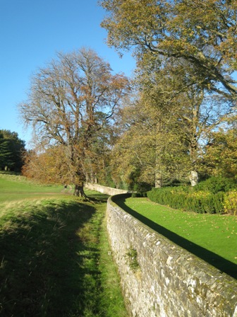 f0141785_20485787.jpg
