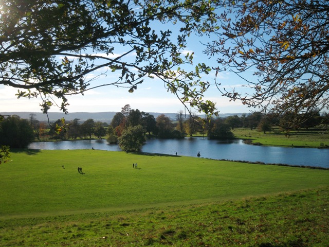 f0141785_20494171.jpg