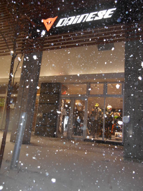 雪、降ってます_d0330986_1811417.jpg