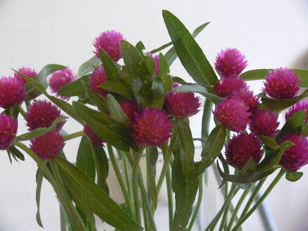 e0140986_14383790.jpg