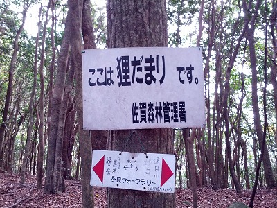 d0326888_9452541.jpg