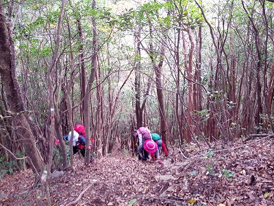 d0326888_9455698.jpg