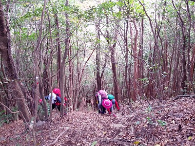 2013.11.09（土）平谷～経ケ岳～岩屋越～平谷_d0326888_9455698.jpg