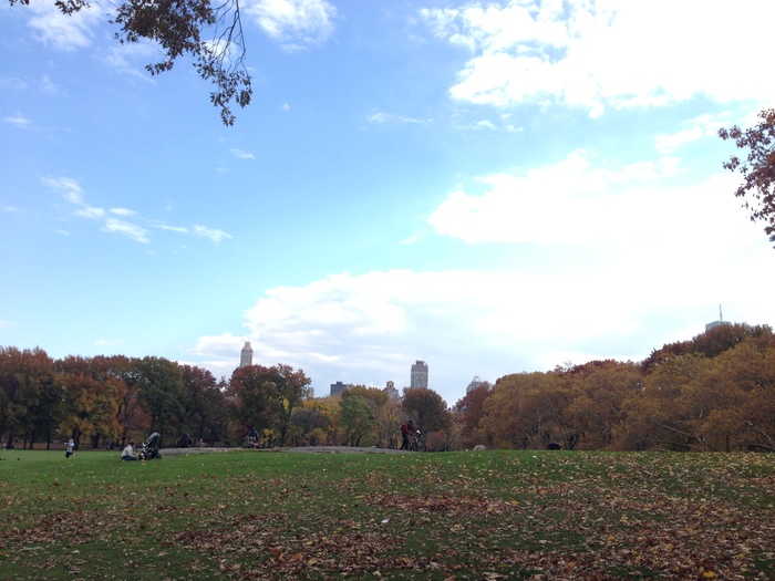 a0141892_1258338.jpg