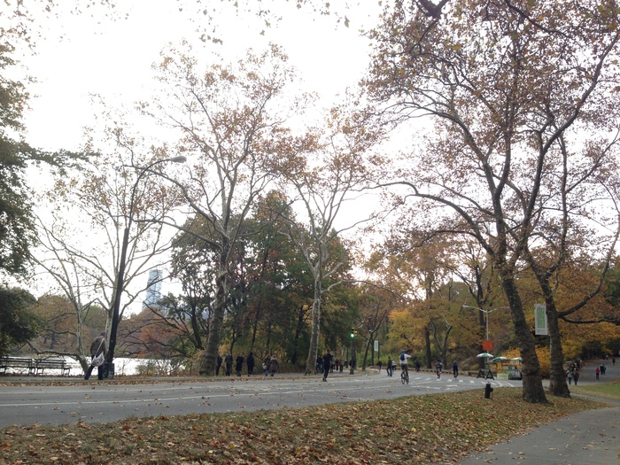 a0141892_1351374.jpg