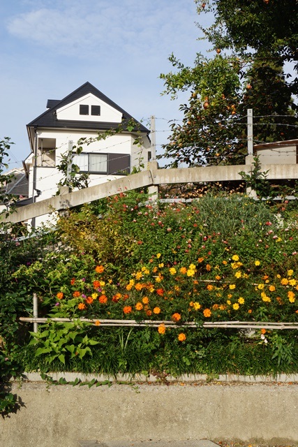 d0181492_2314853.jpg