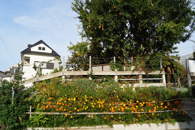 d0181492_232974.jpg