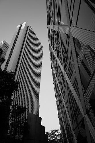 b0119493_12341366.jpg