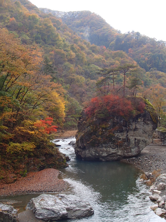 川面から紅葉狩り!神流川渓流ダウンリバー_b0225495_2252830.jpg