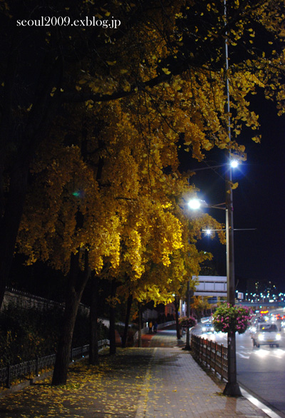 e0166398_0403183.jpg