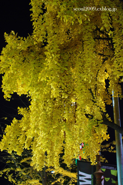 e0166398_0404553.jpg