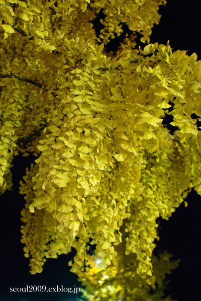 e0166398_0405276.jpg