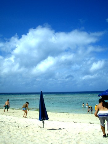 d0227799_1117558.jpg