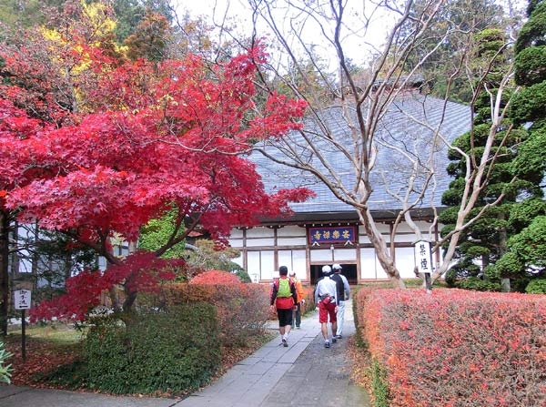 「安楽寺と高野槙」上田市別所温泉の紅葉と五木めぐり_e0269400_1423394.jpg