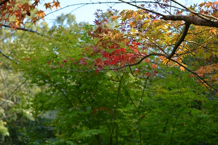 b0189603_2383290.jpg