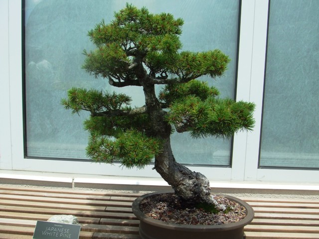 c0062603_744816.jpg