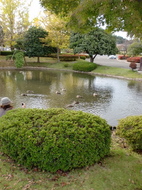 c0132205_20374273.jpg