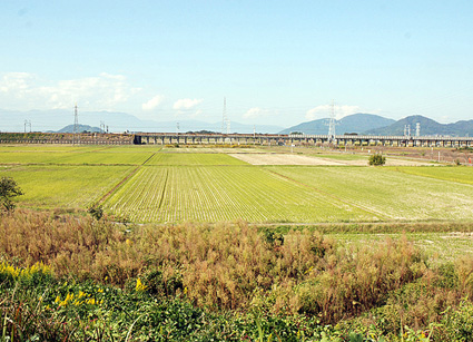 e0093407_14442885.jpg