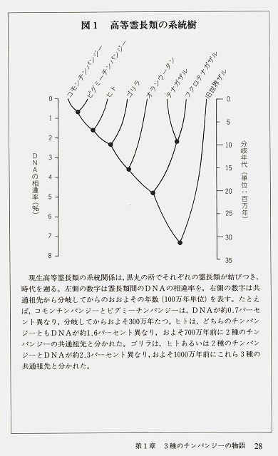 現代の創世記―3種のチンパンジーの物語―_f0096508_13345248.jpg