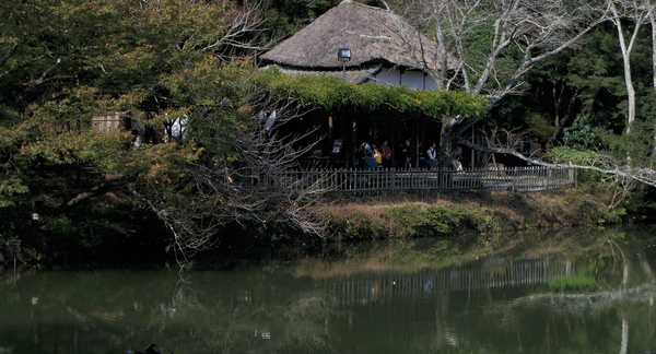d0088611_1622886.jpg