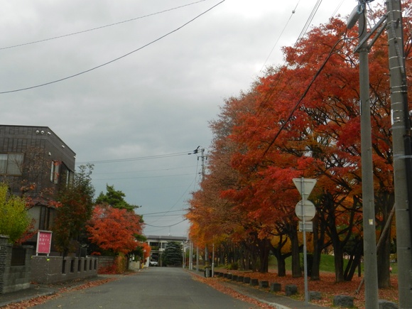 札幌市南区から西岡方面へとー！_d0200811_20243436.jpg