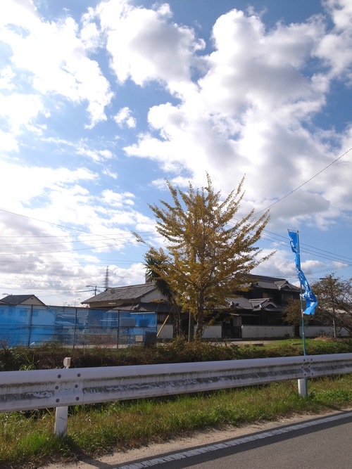秋を通り越して冬ぅ。_f0150413_22414558.jpg