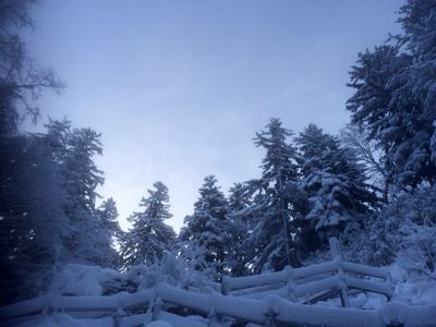 すっかり雪景色(^.^)_f0096216_18564277.jpg