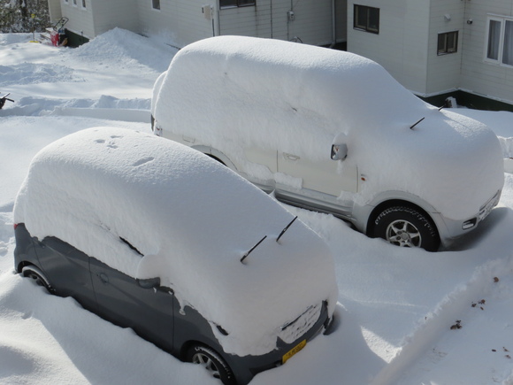 ’１３　シーズン　終了！_f0280717_1057194.jpg