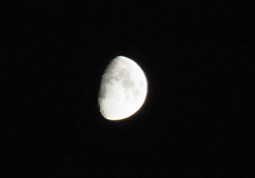 a0214919_20483098.jpg
