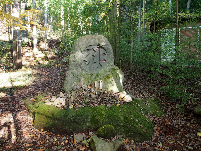 三つ峠山登山_c0085622_21554344.jpg