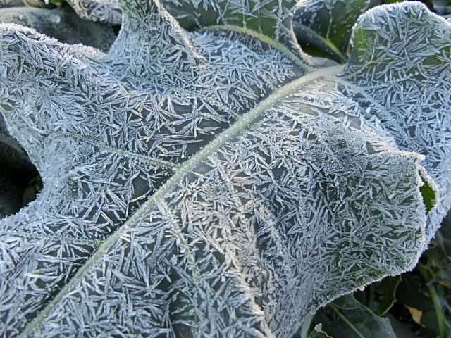 e0234924_9295360.jpg
