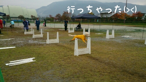 c0254426_17491234.jpg