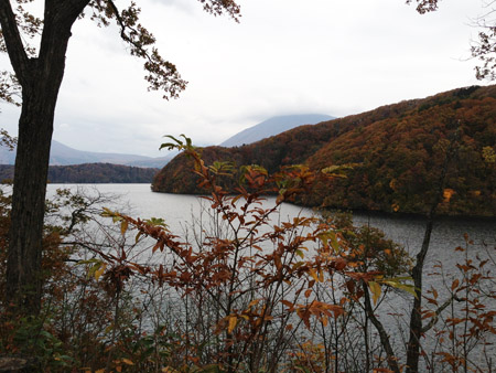 野尻湖へ。_a0026127_15592917.jpg