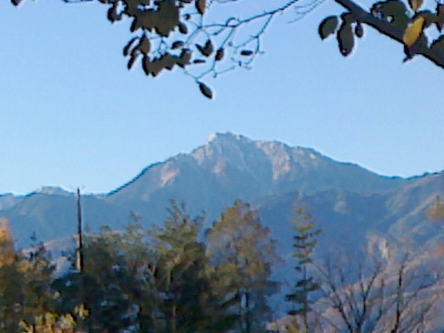 e0016828_8191512.jpg