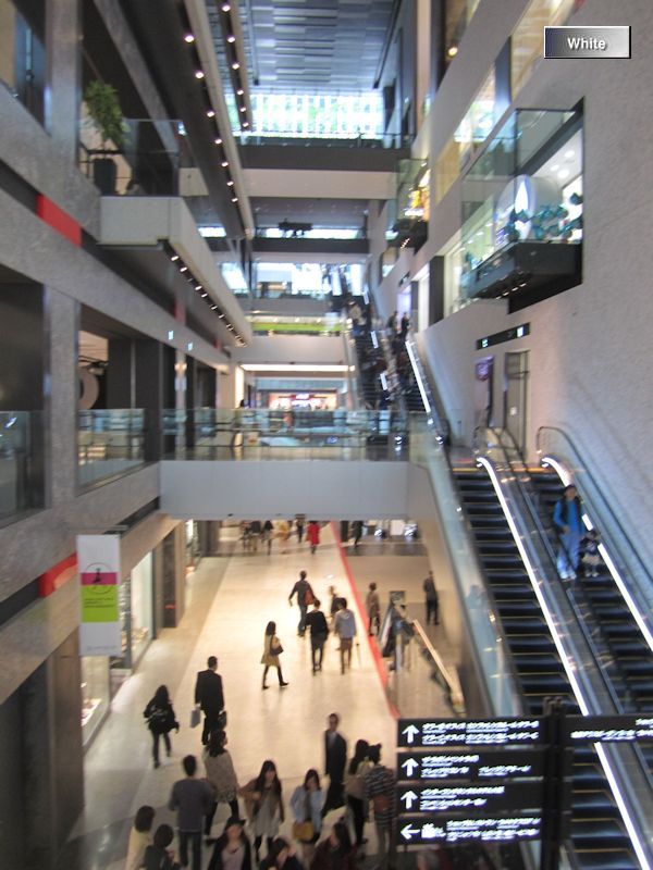 c0227134_9194649.jpg