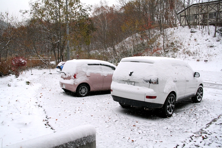 初雪です_d0012134_2362649.jpg