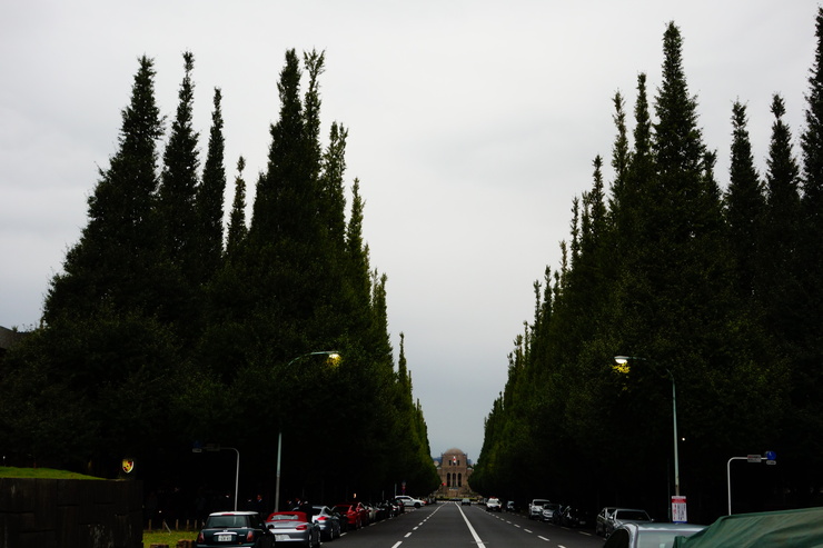 a0287336_1574167.jpg