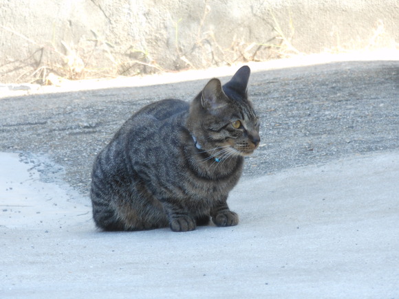 a0319840_12214183.jpg